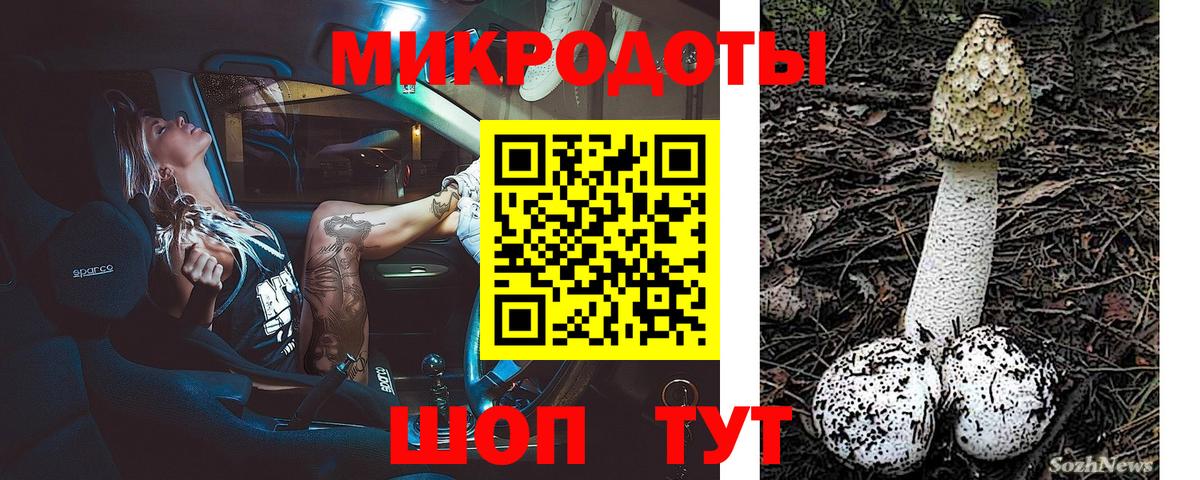 Псилоцибиновые грибы Psilocybine cubensis  Вход с VPN  где найти   Строитель  Галлюциногенные грибы мухоморы 