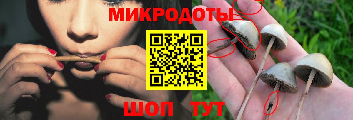 Галлюциногенные грибы мицелий Строитель